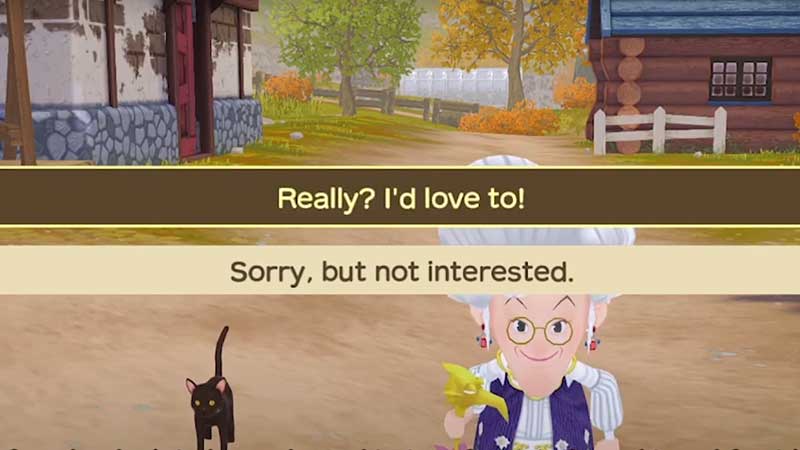 How To Get Story Of Seasons A Wonderful Life Cat Pet