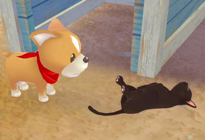 How To Get Story Of Seasons A Wonderful Life Cat Pet