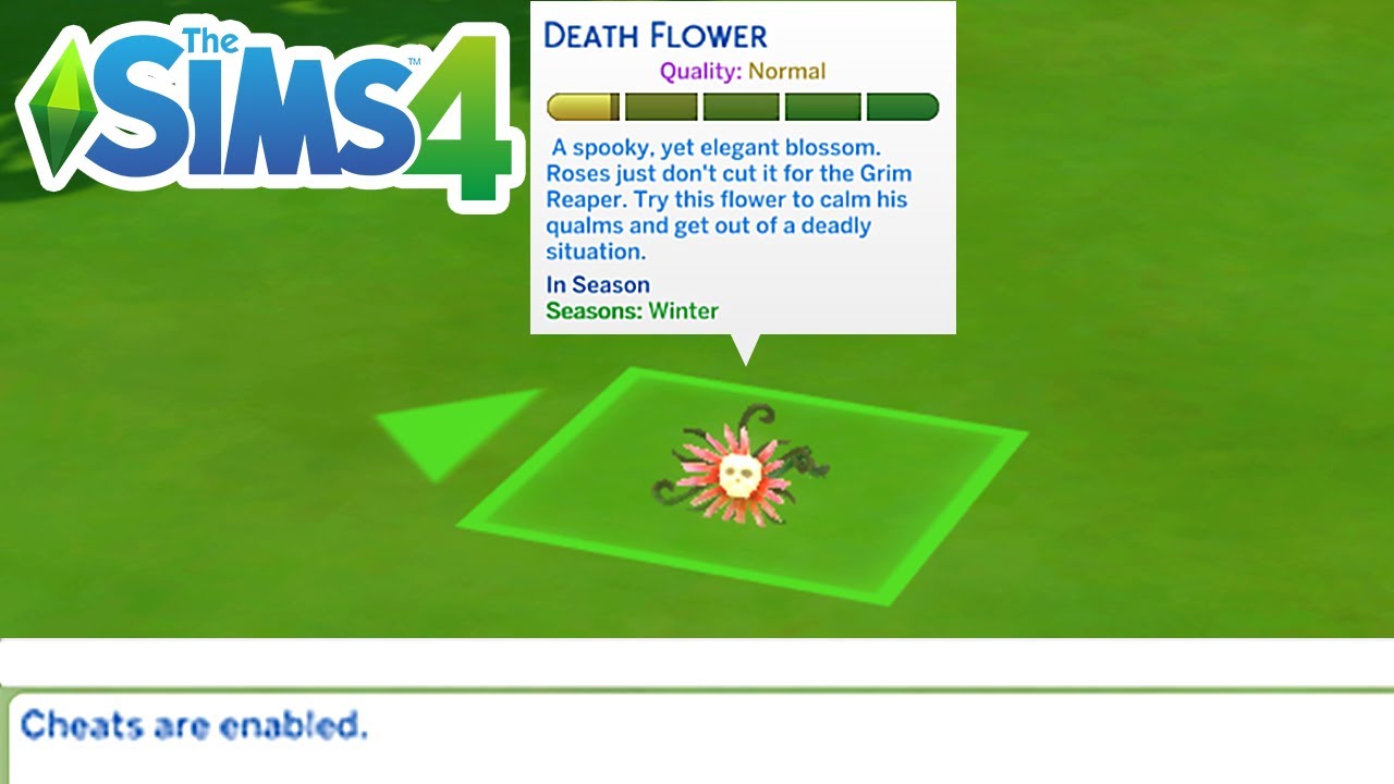 Find Out How to Get Death Flower in Sims 4